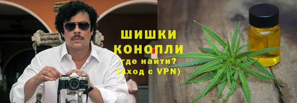 мдпв Заводоуковск