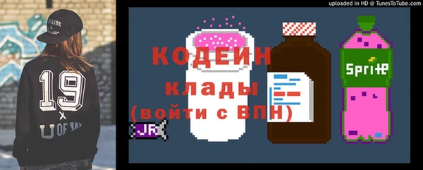 мдпв Заводоуковск