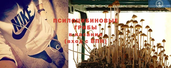 мдпв Заводоуковск